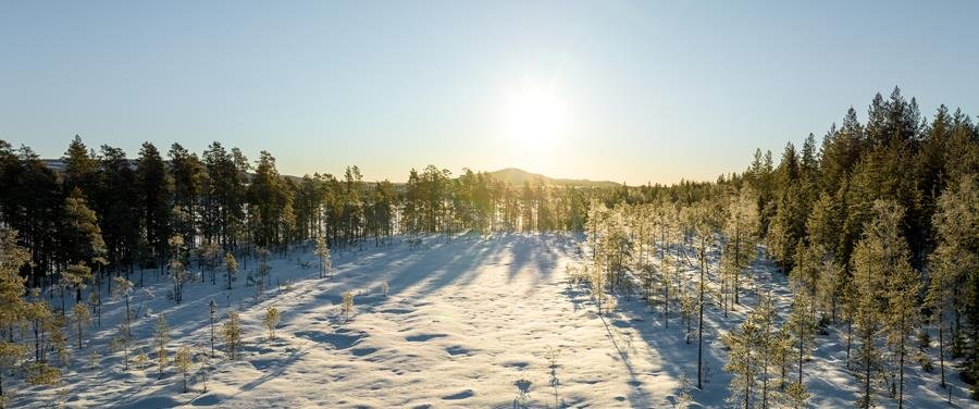 Zweden-Salen-winter-2023-IJsdriften-bos-sneeuw-zon3-d21fac42a816d963.jpeg